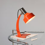 Fishtail Table Lamp Decorative Mood Light