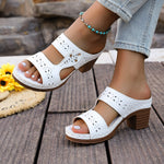 European And American-style Hollowed-out Womens Chunky-heel Round-toe Sandals For Women