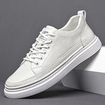 Autumn Mens Shoes, British-style Casual Leather Shoes For Men