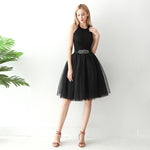 European And American High-waisted Mesh Skirt