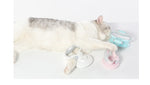 Self-cleaning wire brush for pets