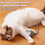 Interactive Rolling Cat Ball