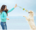 New Pet Draw Rope Hand Throwing Ball ABS Grinding Teeth Resistant Chew Dog Training Ball