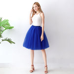 European And American High-waisted Mesh Skirt