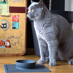 Silicone pet supplies strong suction anti-splash anti-sprinkler silicone pet bowl pet plate
