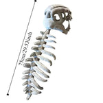 RexRiot™ Skeleton Costume 🦖💀 — Roar Into the Spotlight
