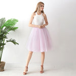 European And American High-waisted Mesh Skirt