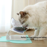 Cat Elevated Feeder Stand With Transparent Bowl