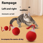 Interactive Cat Toy Ball Super Drive Cat Rolling Ball