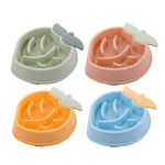 Pineapple Slow Food Bowl Food Grade Plastic Pet Dog