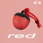 Smart Dog Cat Toy Ball Electronic Interactive Pet Toy Moving Ball Rope USB 3 Modes Automatic Moving Bouncing For Puppy Chew Products Pets Products