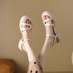 Arrival Womens Open-toe Round-toe Sandals With Thick Soles And Chunky Heelscasual And Versatile