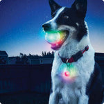 LED glowing pet dog biting ball